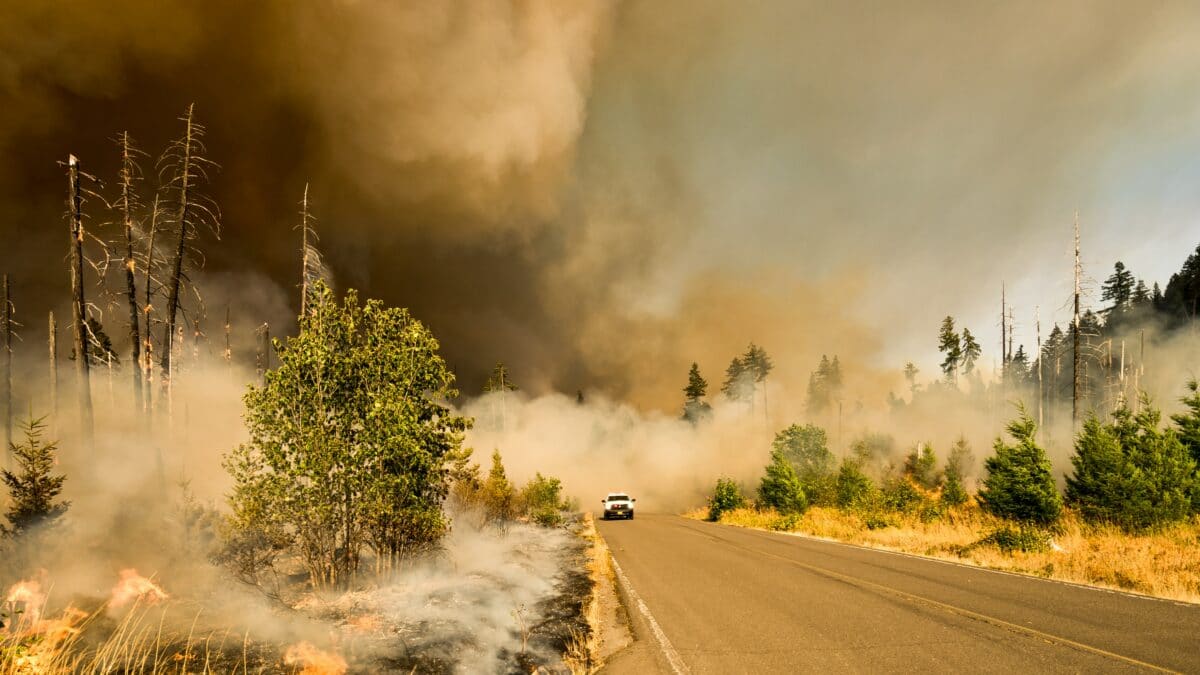 Greater Nevada offers $5K to the Red Cross in support of Caldor Fire relief